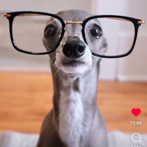 Meet your Posher, Frank jr